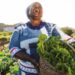 Women farmers celebrate successes