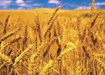 UPDATE ON PREPARATIONS FOR 2023/2024 SUMMER SEASON