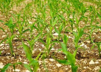 UPDATE ON PREPARATIONS FOR 2023/2024 SUMMER SEASON