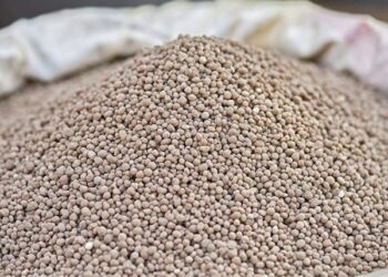 Update on the fertilizer supply situation