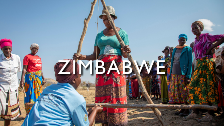 Multi-Sectoral Food And Nutrition Security Strategy For Zimbabwe 2023 – 2025