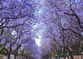 UPDATE ON PREPARATIONS FOR THE 2023/2024 SUMMER SEASON