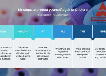 Cholera overview Vibrio cholerae what to know