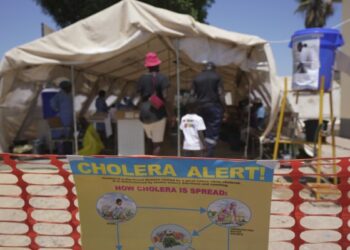 Waste management crisis gives birth to cholera outbreak