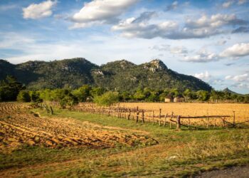 Over 8k hectares ear-marked for irrigation development in Chipinge