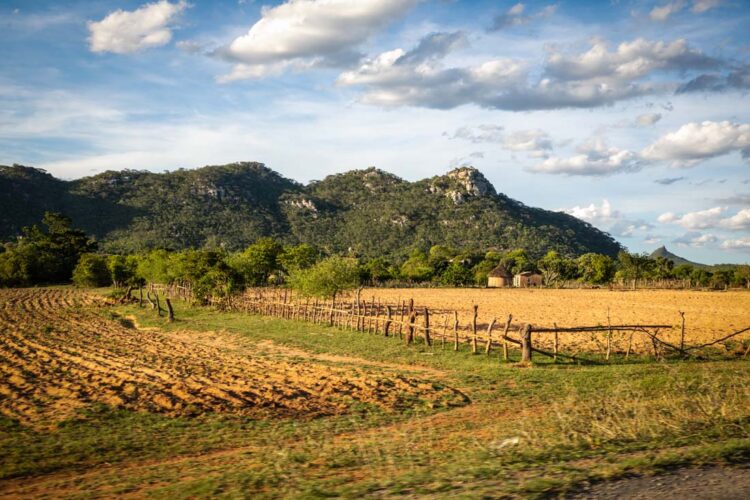 Over 8k hectares ear-marked for irrigation development in Chipinge