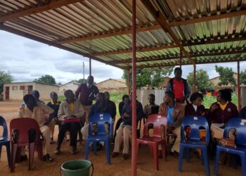 Divisional Leaders Commend Progress and Planning at Kadoma Consultative Committee Meeting