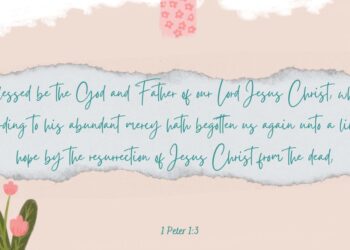 A Living Hope: A Morning Devotion on 1 Peter 1:3