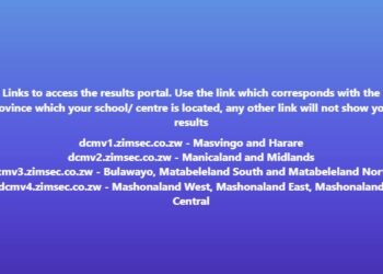 ZIMSEC 2023 Ordinary Level Results Released: Notable Shifts in Pass Rates and Statistics