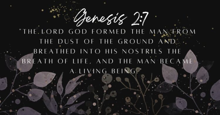 Embracing Divine Identity and Purpose Found