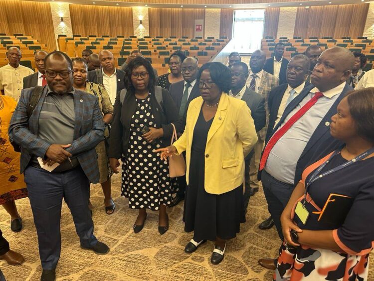 Zim prepares for the 44th SADC Summit