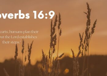 Navigating Confusion: Seeking God’s Guidance