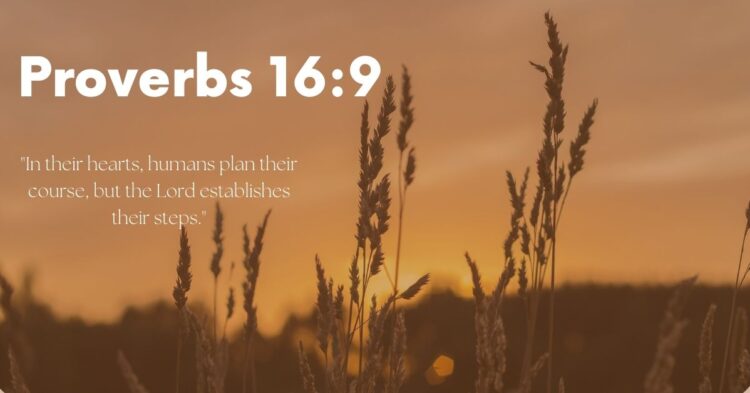 Navigating Confusion: Seeking God’s Guidance