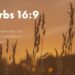 Navigating Confusion: Seeking God’s Guidance