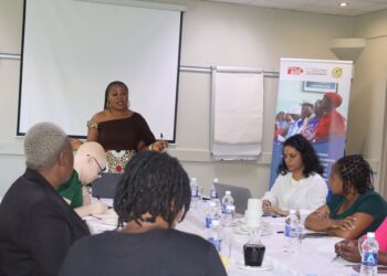 CAID Zim Leads Consultation on Gender Equality Implementation