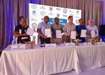 Zimbabwe Pact for Carton Packages Signed to Address Environmental Concerns