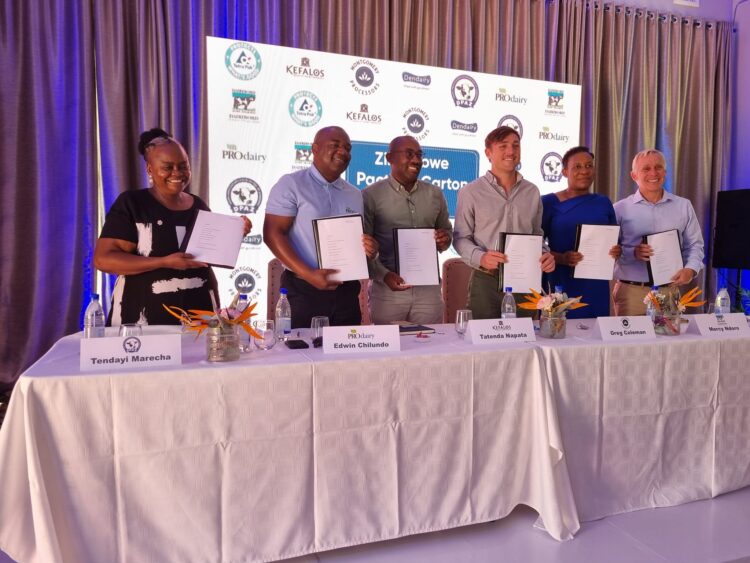 Zimbabwe Pact for Carton Packages Signed to Address Environmental Concerns