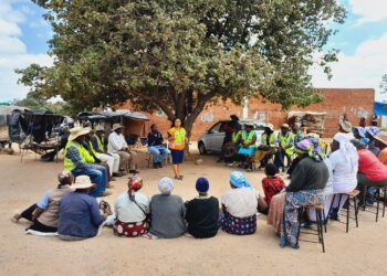 Zimbabwe Pact for Carton Packages Signed to Address Environmental Concerns