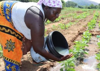 Mubatanidzwa: Generosity, Joyful Giving, and Divine Guidance