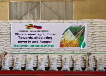 President Mnangagwa Receives Wheat and Fertiliser Donation from Russia