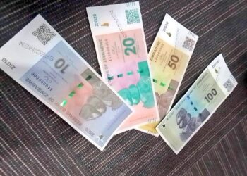 Zimbabwe Introduces New Currency: The “ZiG”
