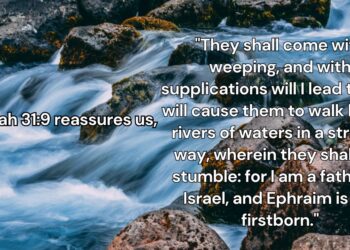 Trusting in God’s Fatherly Care