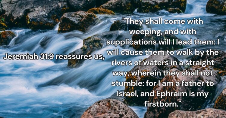 Trusting in God’s Fatherly Care