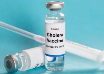 Progress in Containing Cholera Cases in Manicaland Province