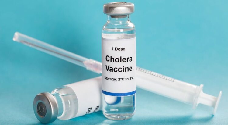 Progress in Containing Cholera Cases in Manicaland Province