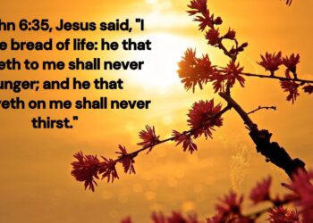 The Bread of Life