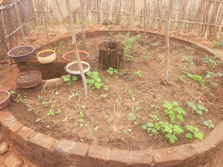 Harnessing the Power of Association for Entrepreneurial Success