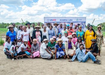 Harnessing the Power of Association for Entrepreneurial Success