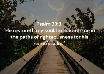 Restored and Guided by the Shepherd