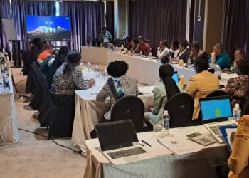 Zimbabwe Council of Churches Strengthens Commitment to Women, Peace, and Security Agenda