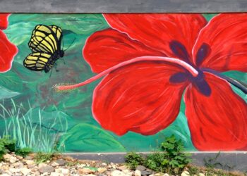 Prophet Munashe Dhobha Offers Morning Blessing for Wealth and Prosperity