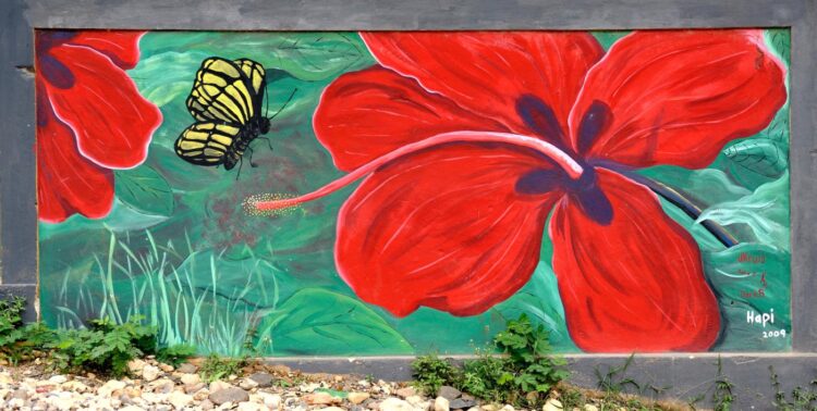 Prophet Munashe Dhobha Offers Morning Blessing for Wealth and Prosperity