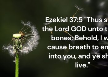 The Breath of Life and Renewal