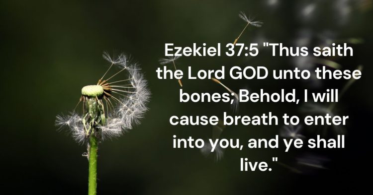 The Breath of Life and Renewal