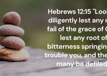 Guarding Against Bitterness