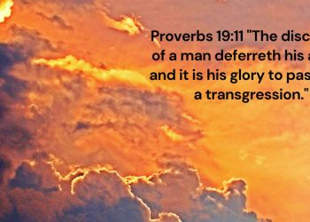 The Wisdom of Patience and Forgiveness