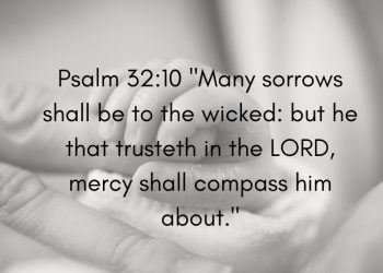 The Assurance of Trusting in the Lord
