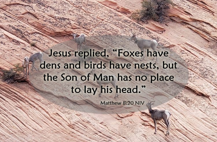 Consider the needy in our society