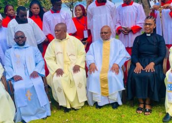 Grooming Young Adults Into Responsible Leaders : HSAG