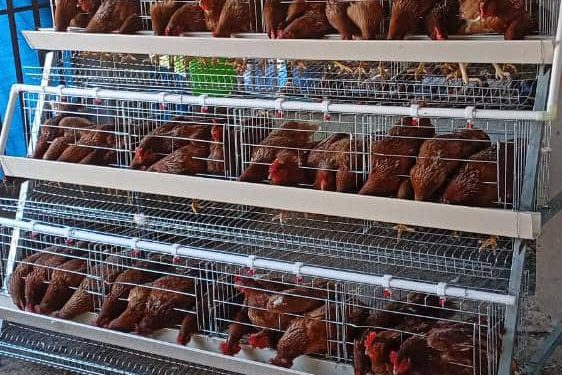 TRM,Canadian Embassy join forces for youth empowerement through CFLI support