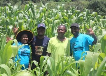 Deaf Ministry Farming Project Brings Hope to Mutare