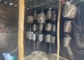 Mushroom farming a lucrative business opportunity, let the community converge and learn,- Mahamba