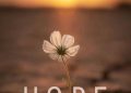 Words of comfort and hope