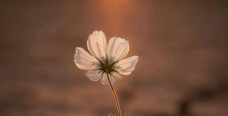 Words of comfort and hope