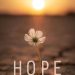 Words of comfort and hope