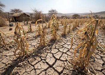 Roman Catholic leads in mitigating against forecasted El Nino Beitbridge District